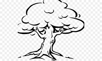 Tree Oak Branch Trunk Clip art - tree 