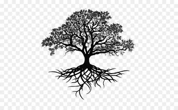 Tree Oak Drawing Silhouette - Trees silhouette 