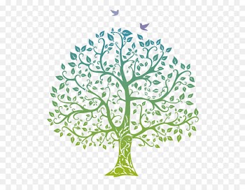 Tree of life Clip art - Tree Vector Png 