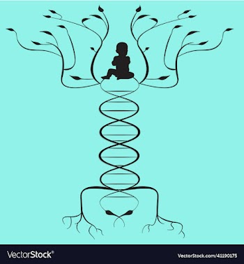 tree of life infant boy