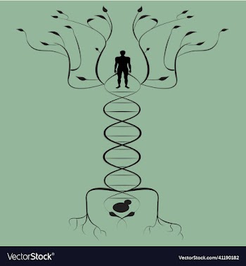 tree of life man