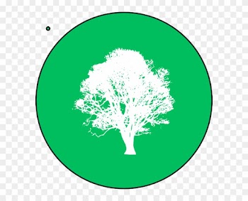 Tree Of Life Sticker