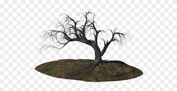 Tree, Old, Ill, Old Tree, Nature, Wood, Gnarled - Before The Heart Fell Silent: Collected Poems