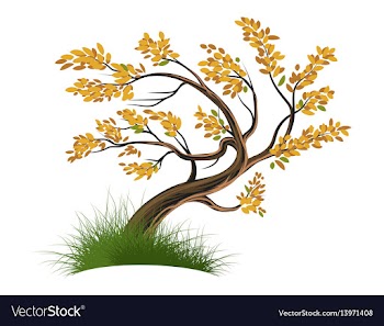 Tree on a white vector image