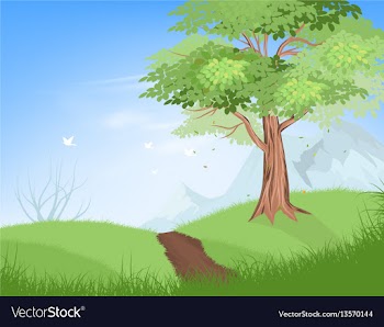 Tree on hill vector image
