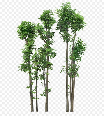 Tree OpenOffice Draw Clip art - Luxuriant trees 