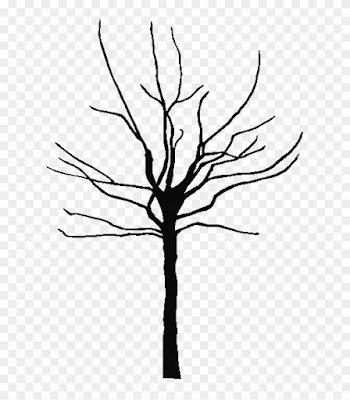 Tree Outline Printable Clipart Best 143849 Free Coloring - Bare Clipart Tree