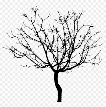 Tree Outlines 11, - Svg Tree