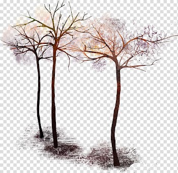 Tree , palm trees transparent background PNG clipart