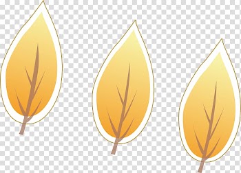 Tree Papua New Guinea Drawing, Leaves transparent background PNG clipart