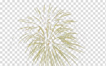 Tree Pattern, Fireworks,explosion,Colorful transparent background PNG clipart