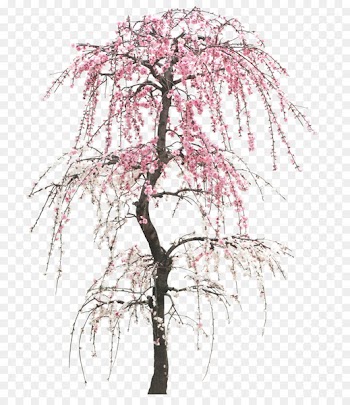 Tree Peach Cherry Trunk - Creative Valentine's Day 