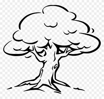 Tree, Perennial, Trunk, Branches, Leaves - Tree Black And White