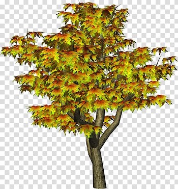 Tree PicsArt Studio , tree transparent background PNG clipart