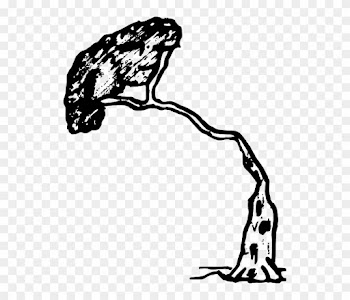 Tree Pine, Wood, Nature, Plant, Tree - Tree Falling In Black And White