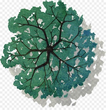 Tree Plan - Painted green tree top view of 