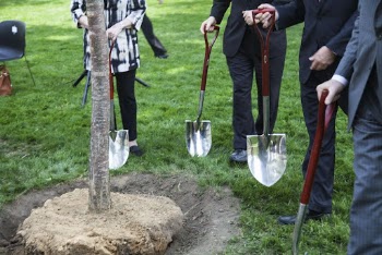 Tree planting ceremony. Free public | Free Photo - rawpixel