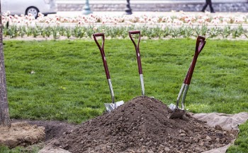 Tree planting ceremony. Free public | Free Photo - rawpixel