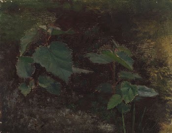 Tree plants, sketch for the painting | Free Photo - rawpixel