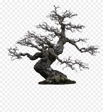 Tree Png By Camelfobia - Old Tree Png