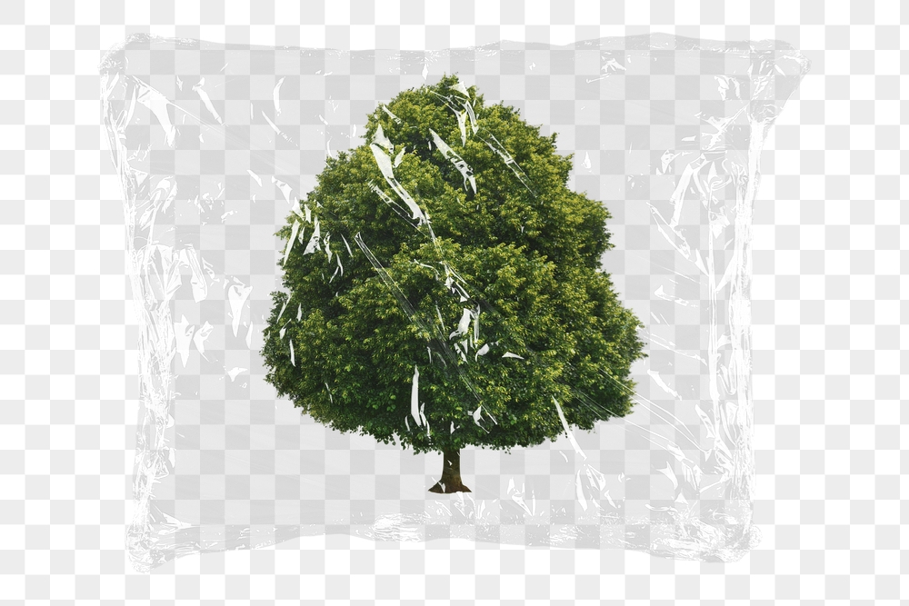 Tree png plastic packaging sticker, | Free PNG - rawpixel