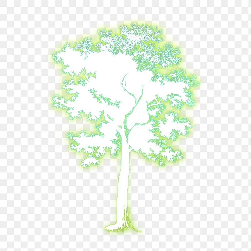 Tree png sticker, green neon, | Free PNG - rawpixel