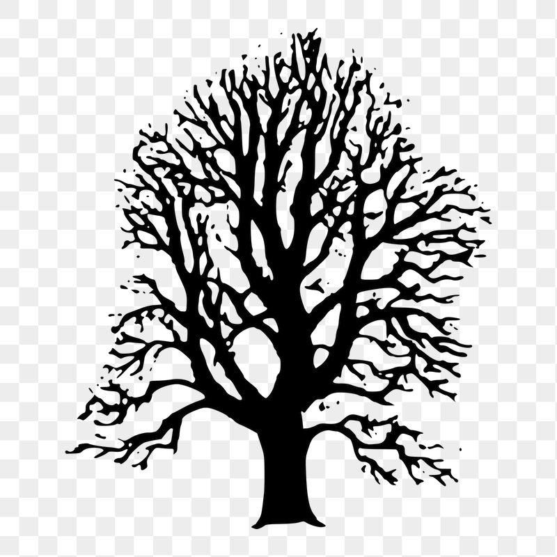 Tree png sticker illustration, transparent | Free PNG - rawpixel