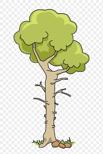 Tree png sticker, nature cartoon | Free PNG - rawpixel