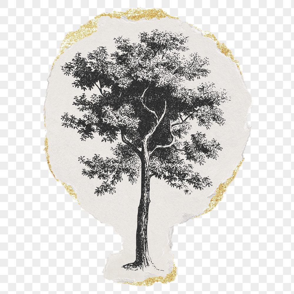 Tree png sticker, ripped paper, | Free PNG Illustration - rawpixel