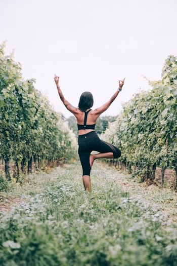 Tree Pose In Vinyard Great Balance