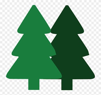Tree Removal Company With Trimming And Stump Grinding - Christmas Tree