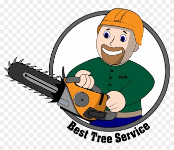 Tree Removal - Tree