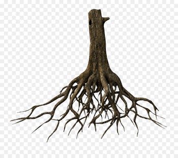 Tree Root 3D modeling TurboSquid Clip art - the roots 