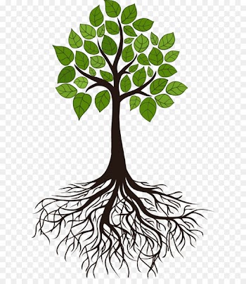 Tree Root Branch Clip art - root 