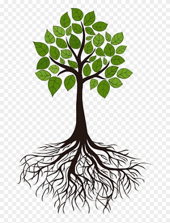 Tree Root Branch Clip Art - Transparent Tree Of Life Roots