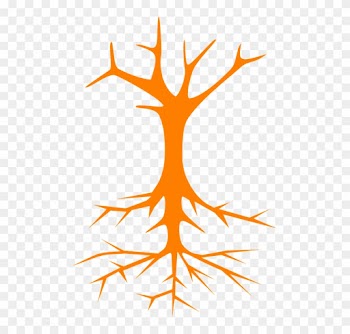Tree Roots Stem Branches Naked Bare Cross Section - Tree Clip Art