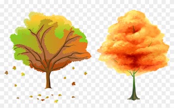 Tree Season Autumn Clip Art - Tree Season Autumn Clip Art