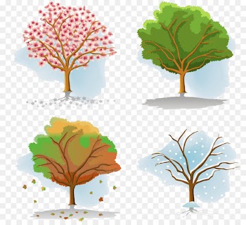 Tree Season Autumn - Four Seasons Tree children 