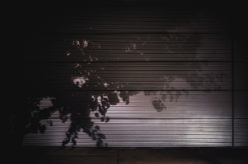 Tree Shadow