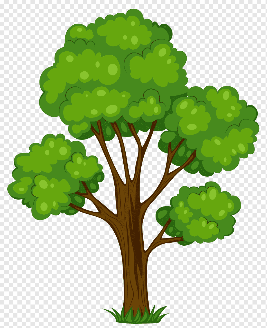 Tree Shrub Cartoon, Painted Green Tree, green leafed tree illustration, leaf, branch, grass png