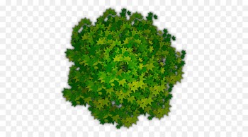 Tree Shrub Clip art - Photoshop Tree Top View Png 