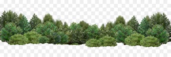 Tree Shrub Garden Desktop Wallpaper - Shrub Bushes 