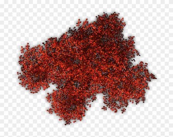 Tree Shrub Red Berberis Thunbergii Plant - Red Trees Top View Png