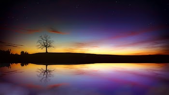 Tree Silhouette