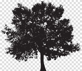Tree Silhouette , autumn transparent background PNG clipart