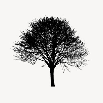 Tree silhouette clipart, botanical illustration. | Free Photo - rawpixel