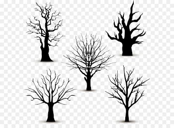 Tree Silhouette Euclidean vector - 5 black trees without leaves vector 