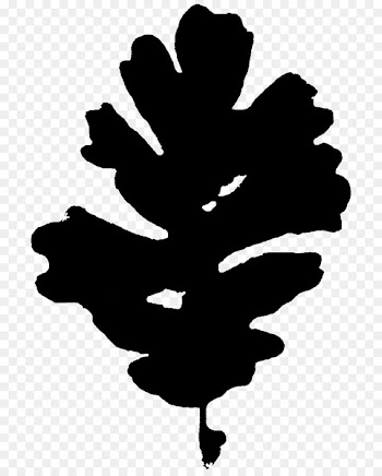 Tree Silhouette Font Leaf Flowering plant -  
