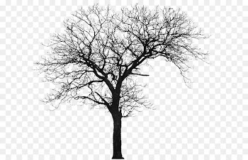 Tree Silhouette House Architecture - tree 