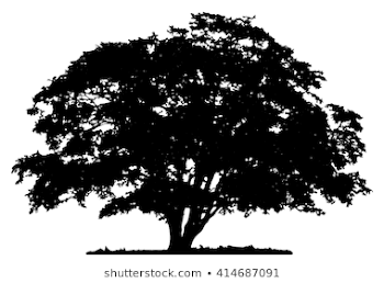 Tree Silhouette Images, Stock Photos & Vectors | Shutterstock
